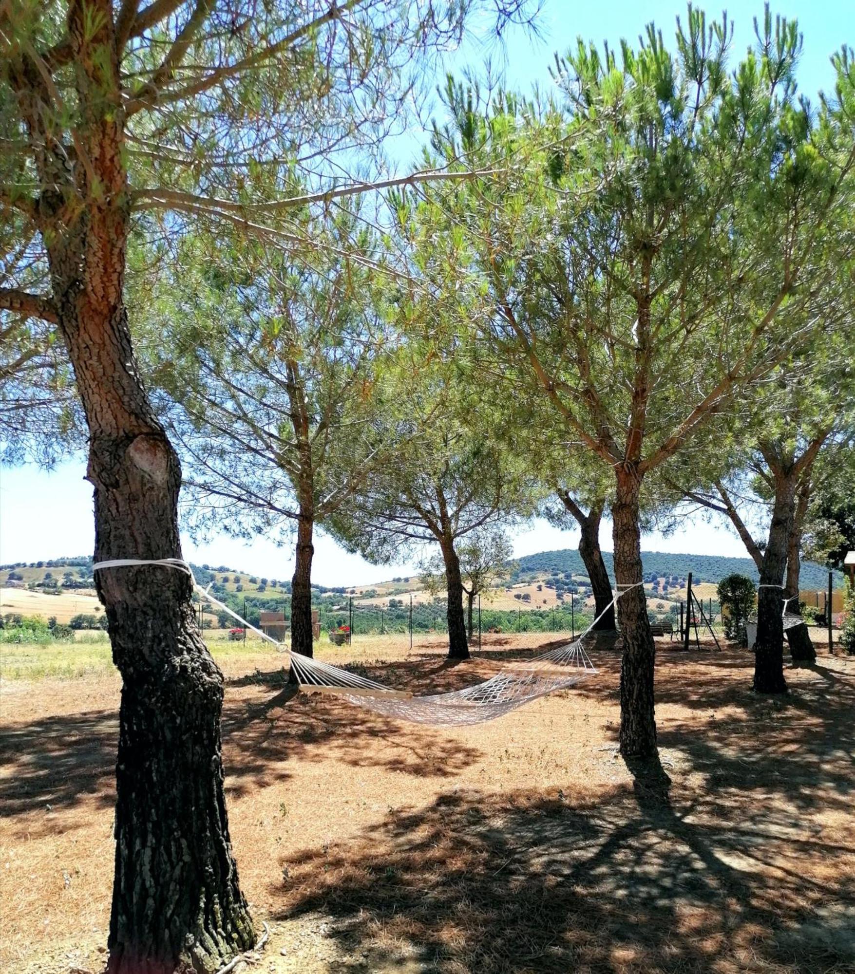 Agriturismo Boschetto Di Montiano 蒙蒂亚诺 客房 照片