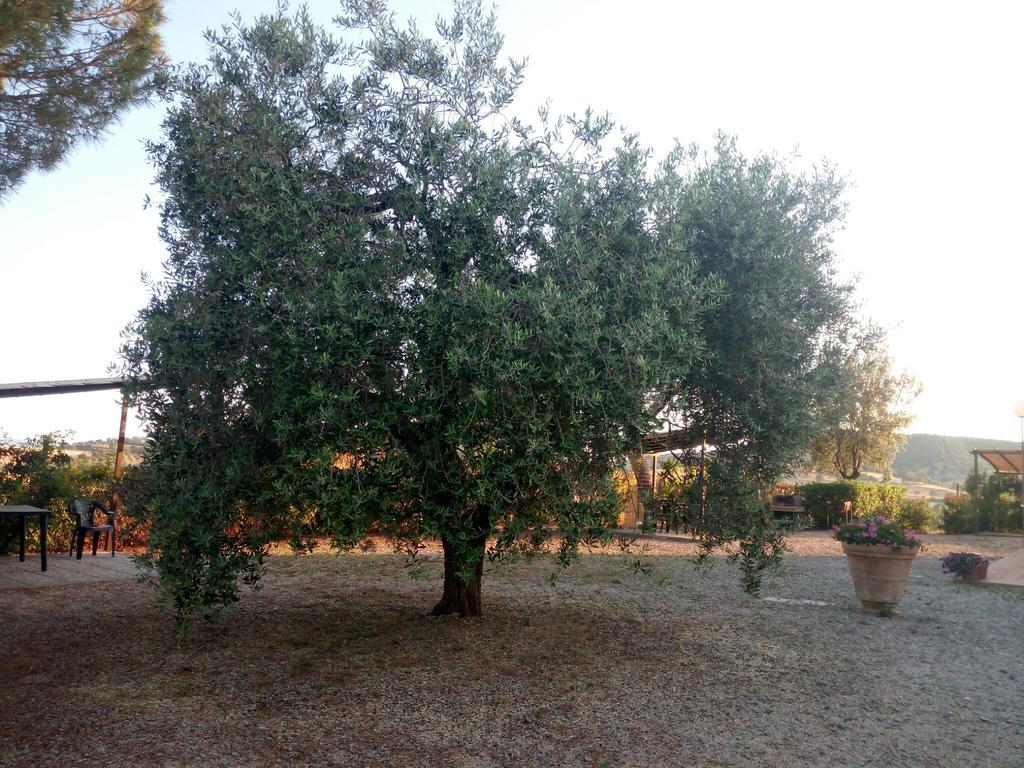 Agriturismo Boschetto Di Montiano 蒙蒂亚诺 外观 照片