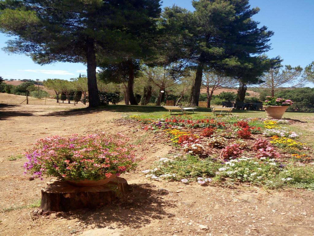 Agriturismo Boschetto Di Montiano 蒙蒂亚诺 外观 照片