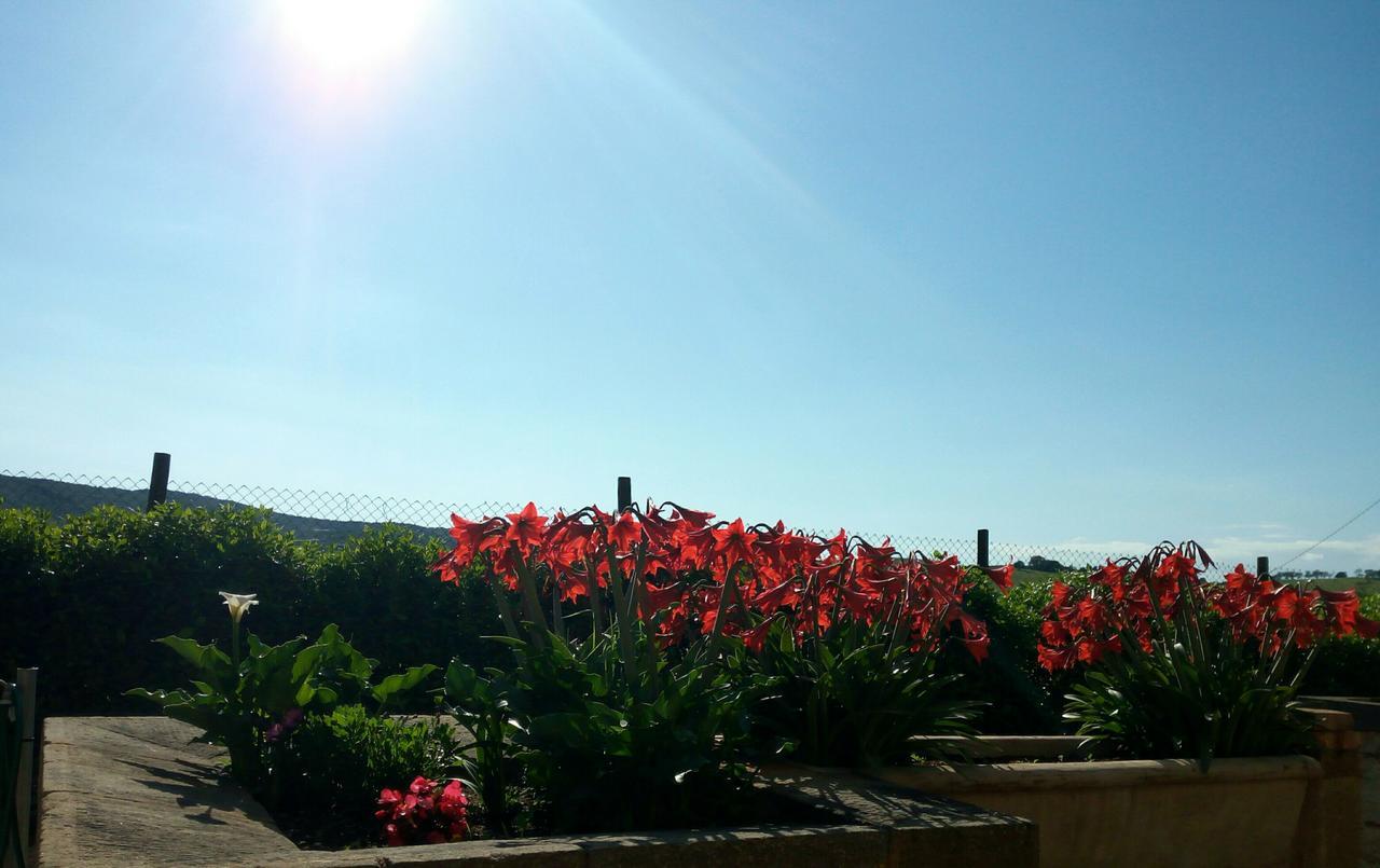 Agriturismo Boschetto Di Montiano 蒙蒂亚诺 外观 照片